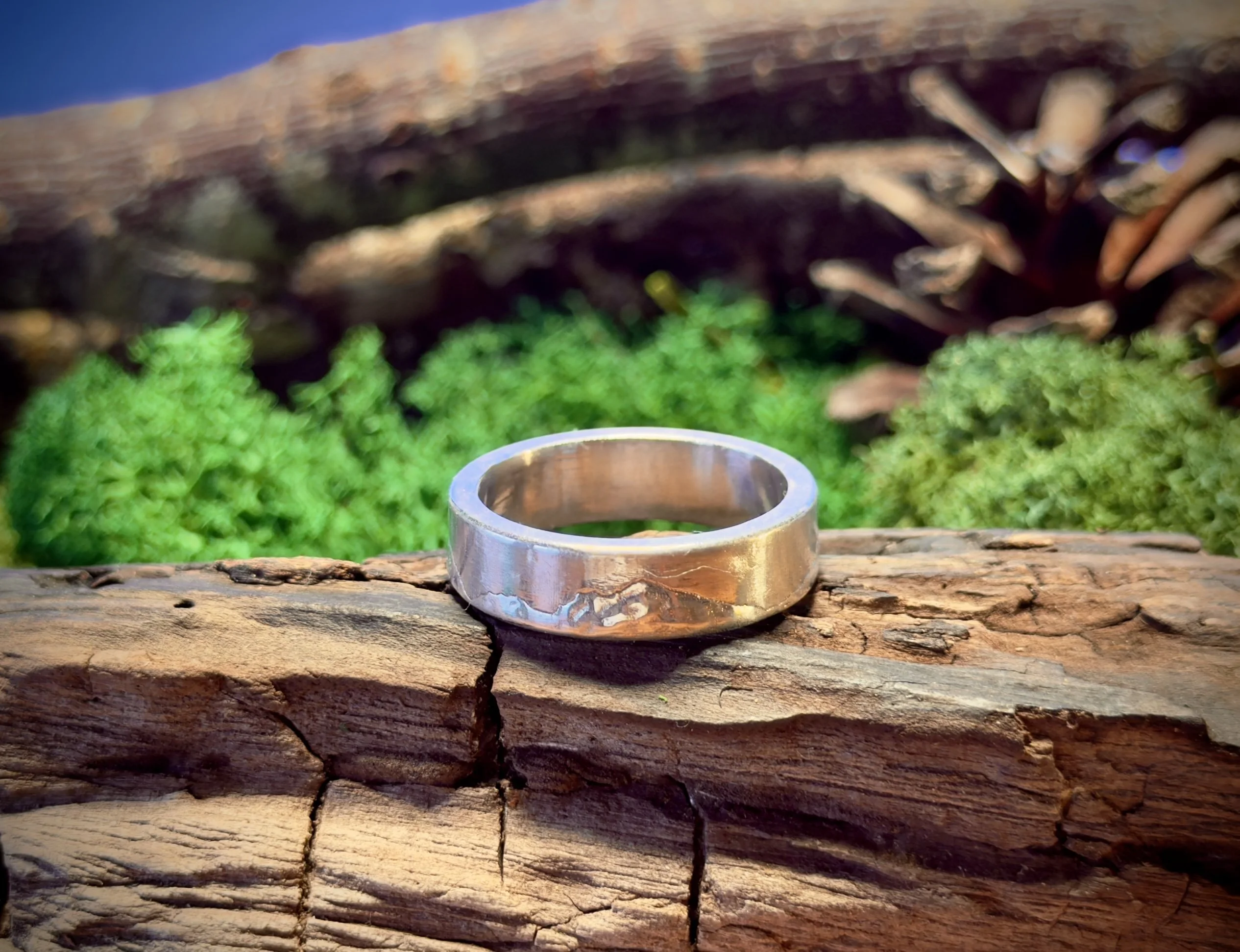 The ring resting on weathered wood among moss.